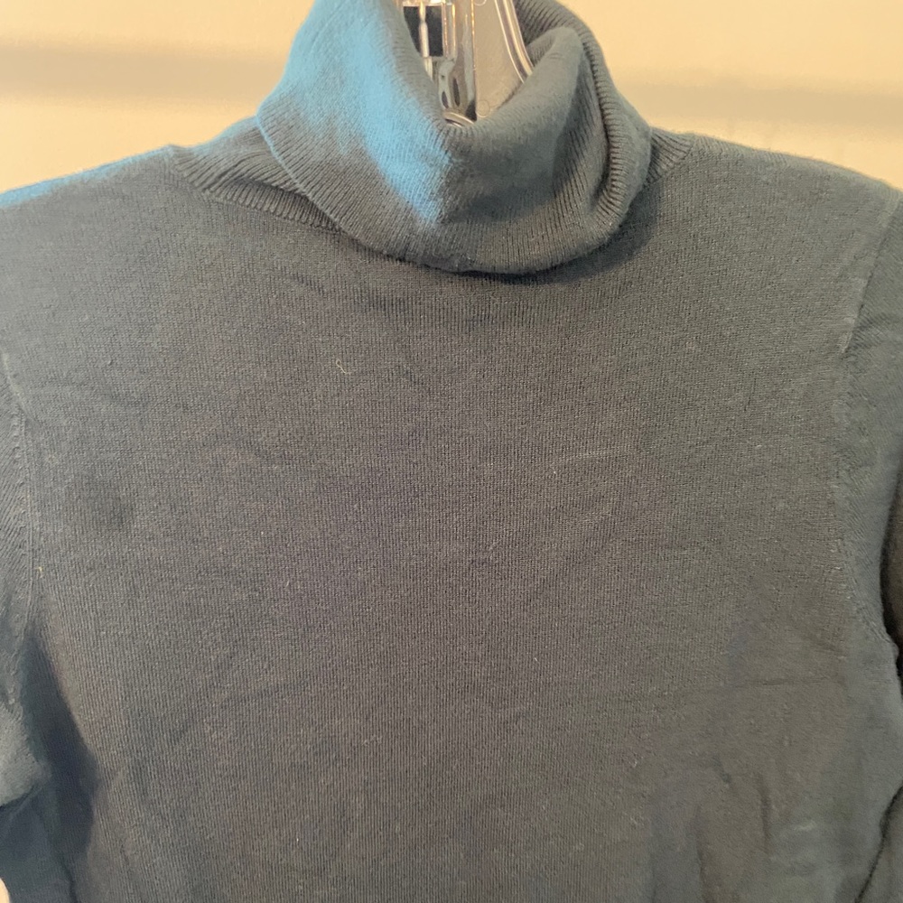 Ann Taylor - Women’s turtleneck